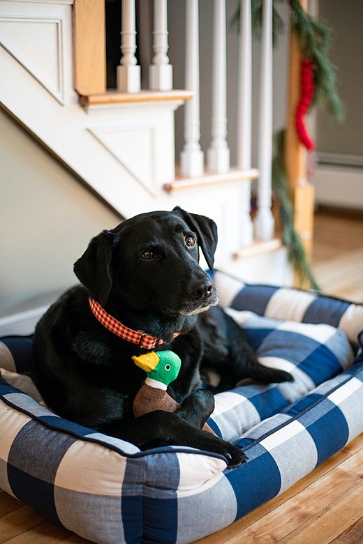 Jackie’s adorable black Lab, Poppy, gets in on the gifting action with a buffalo-check pet bed.
